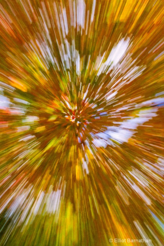 Fall Abstraction 8