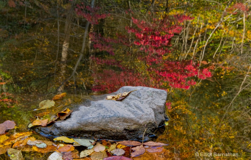 Wissahickon in Fall 9