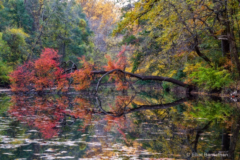 Wissahickon in Fall 8