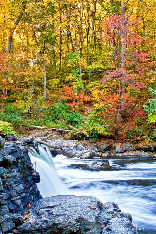 Wissahickon in Fall 7