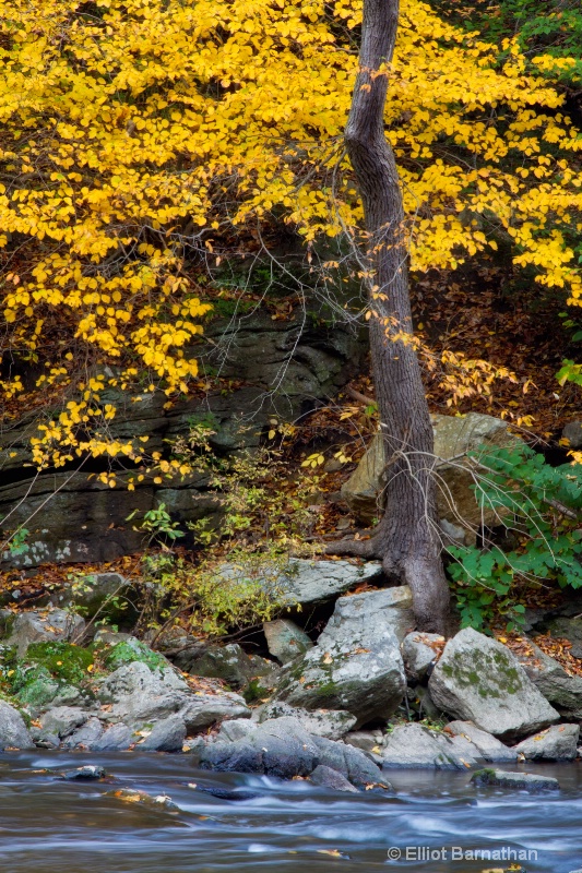 Wissahickon in Fall 6