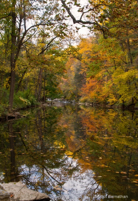 Wissahickon in Fall 1