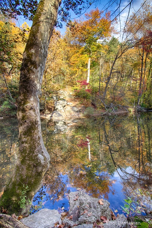 Wissahickon in Fall 24