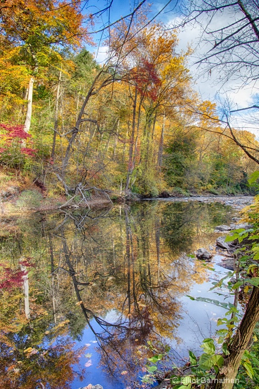 Wissahickon in Fall 23