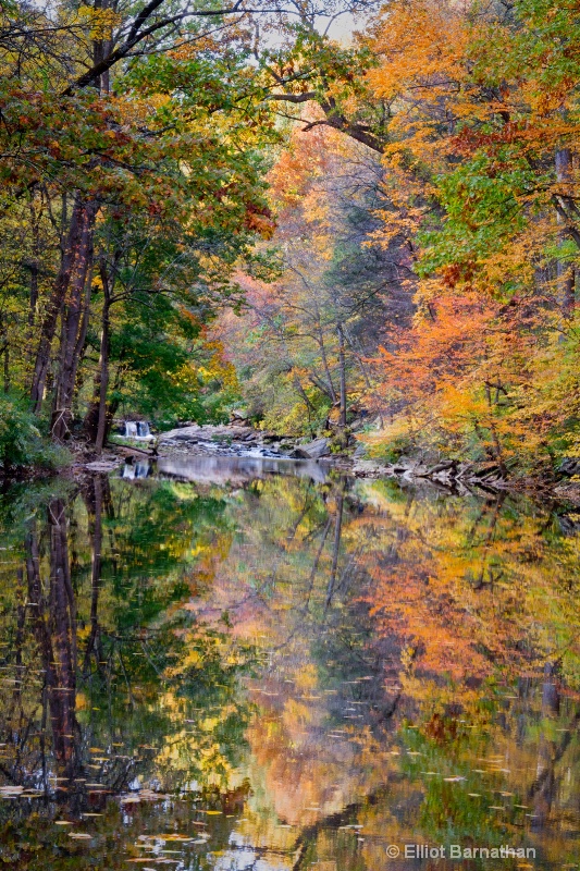 Wissahickon in Fall 20