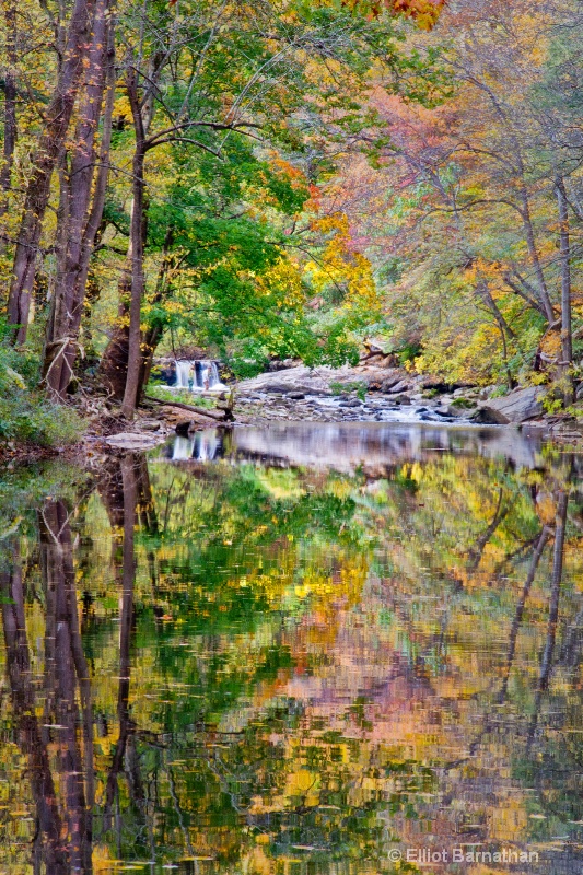 Wissahickon in Fall 19