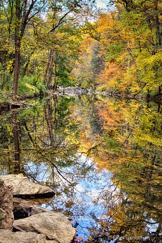 Wissahickon in Fall 18