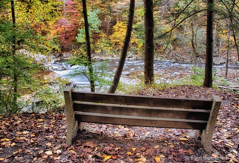 Wissahickon in Fall 13