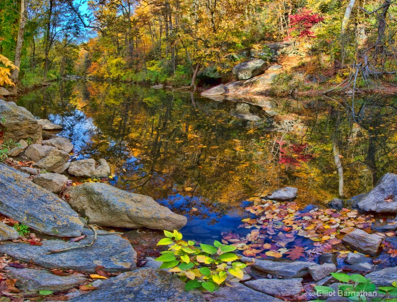 Wissahickon in Fall 7