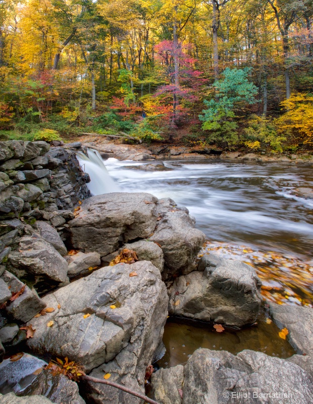 Wissahickon in Fall 16