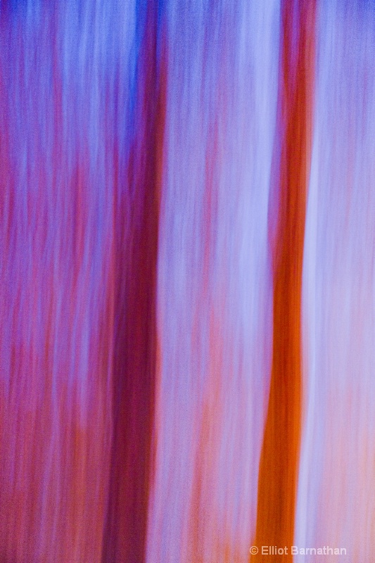 Tree Abstraction