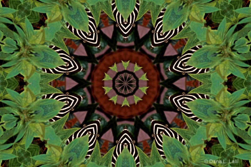 NATURES KALEIDOSCOPE