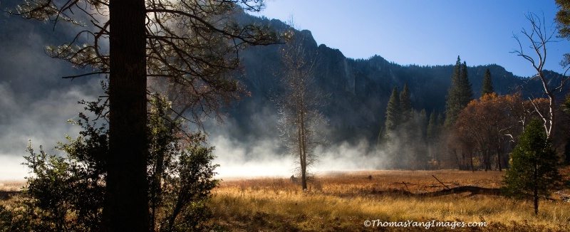 Sentinel Meadows Mist