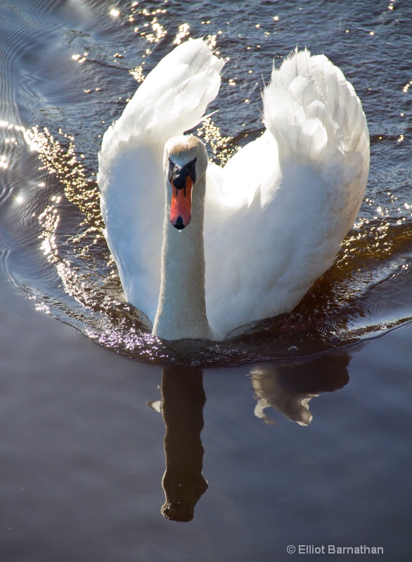 Tuckerton Seaport 9