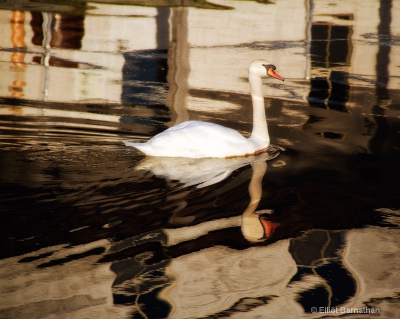 Tuckerton Seaport 19