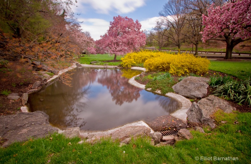 Spring in Philadelphia 28