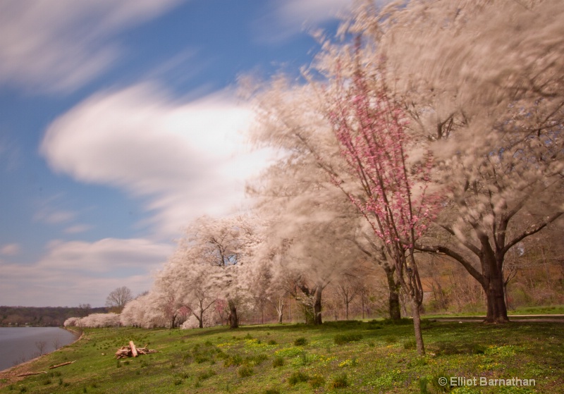 Spring in Philadelphia 27