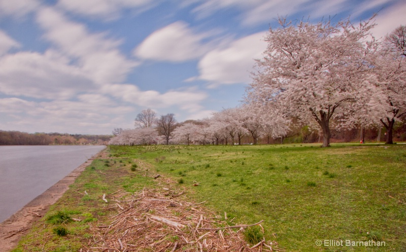 Spring in Philadelphia 26