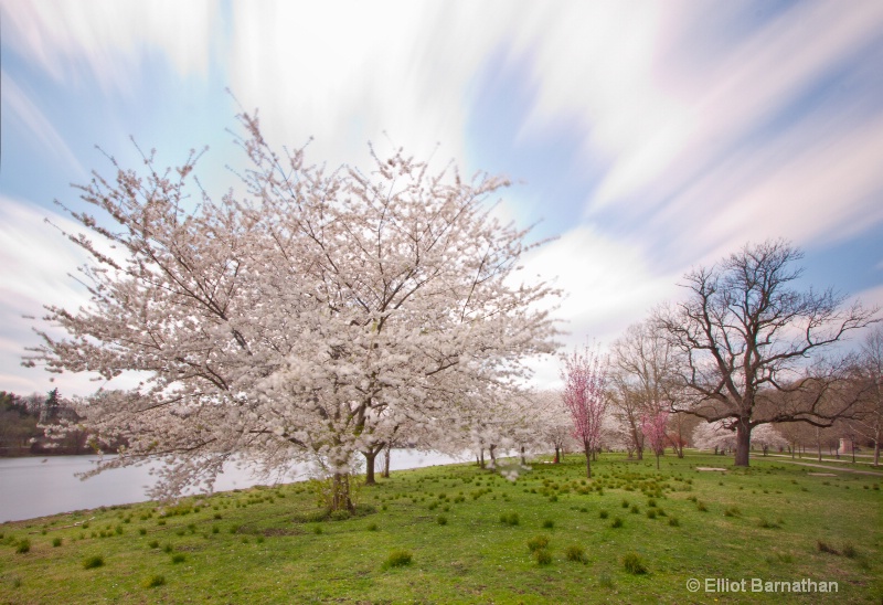 Spring in Philadelphia 25