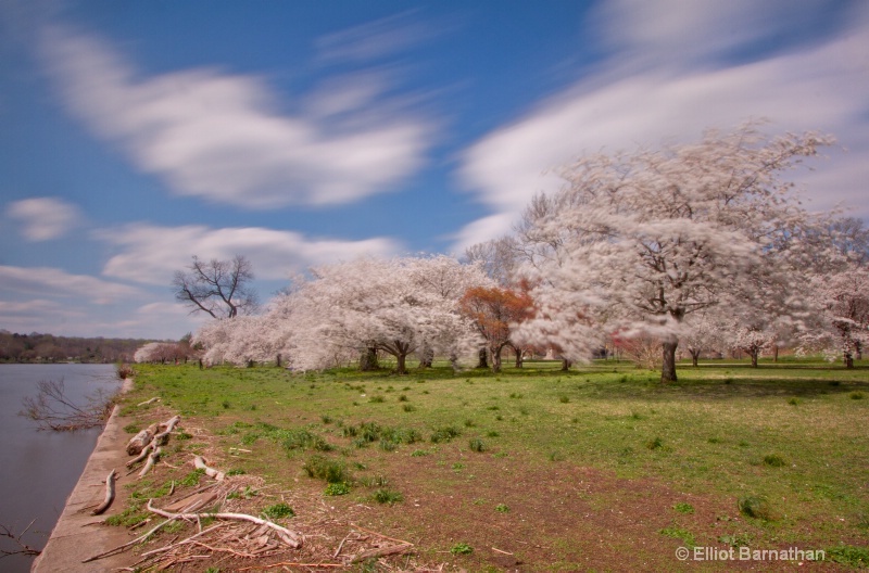 Spring in Philadelphia 23