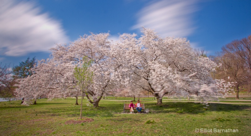 Spring in Philadelphia 21