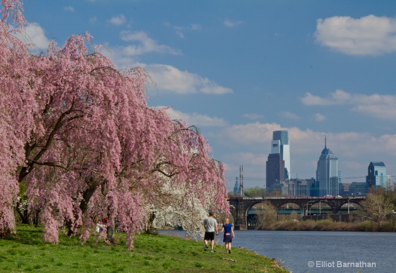 Spring in Philadelphia 19