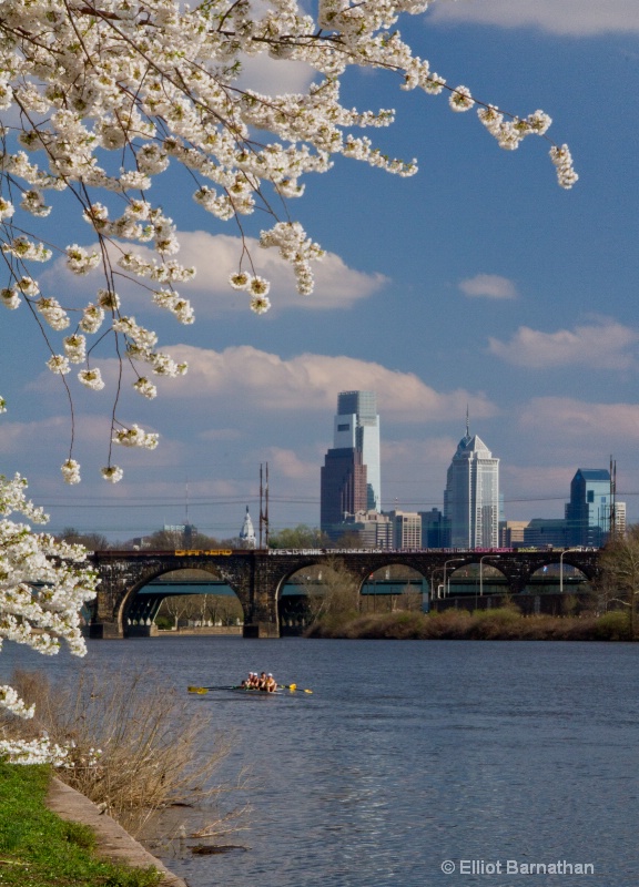 Spring in Philadelphia 18