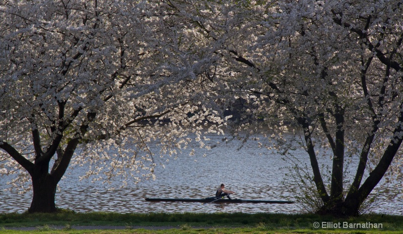 Spring in Philadelphia 17