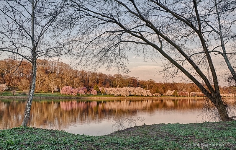 Spring in Philadelphia 4