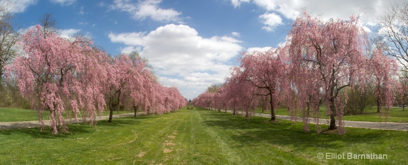 Spring in Philadelphia 3