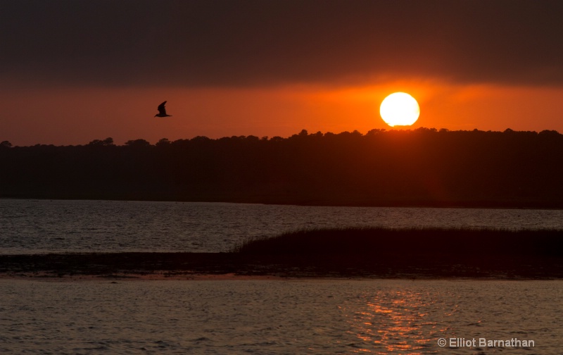 Chincoteague 68