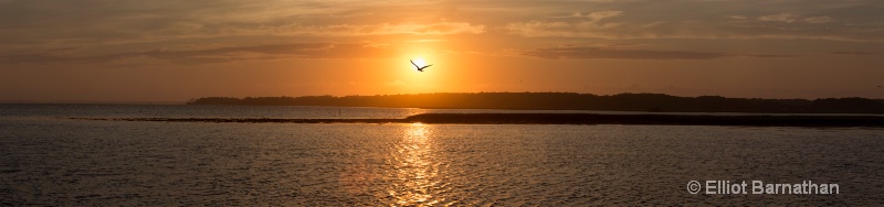 Chincoteague 88