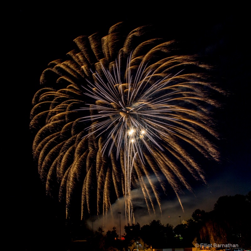 Fireworks 29