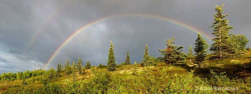 Alaskan Rainbow