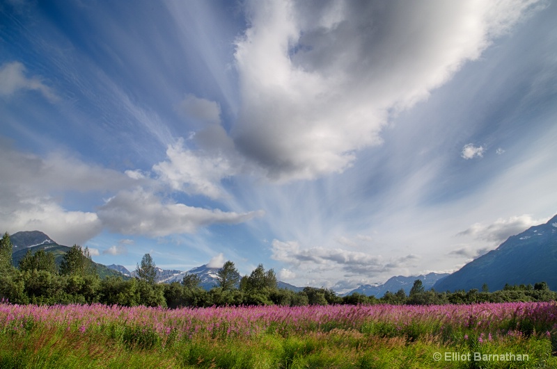 Alaskan Summer Day