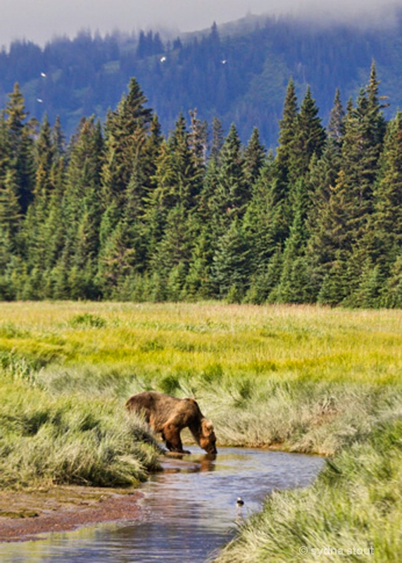 lake clark wildernes