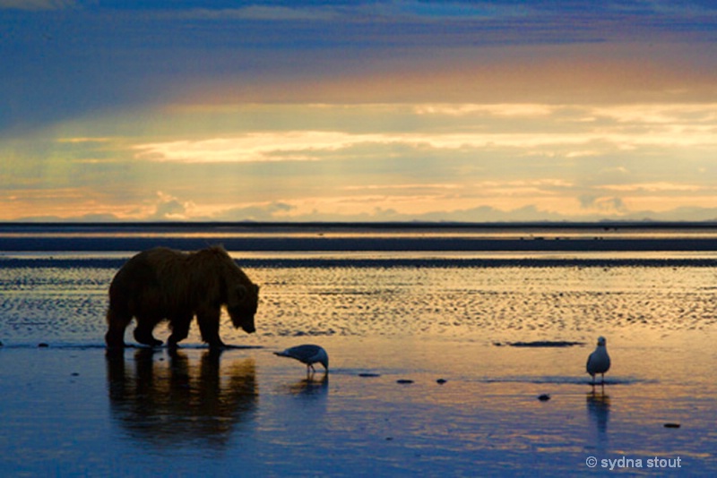  sunrise on cooks inlet