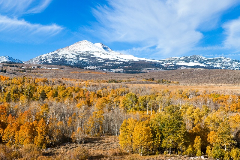 Eastern Sierra