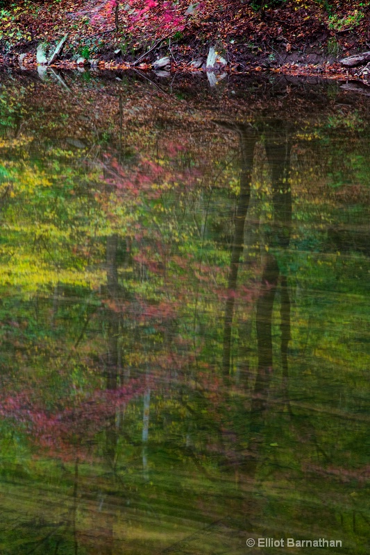 Fall Reflections