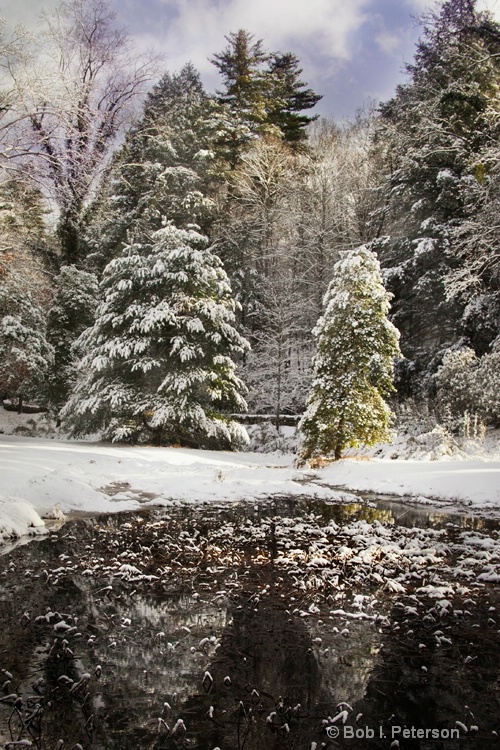 winter at Biltmore