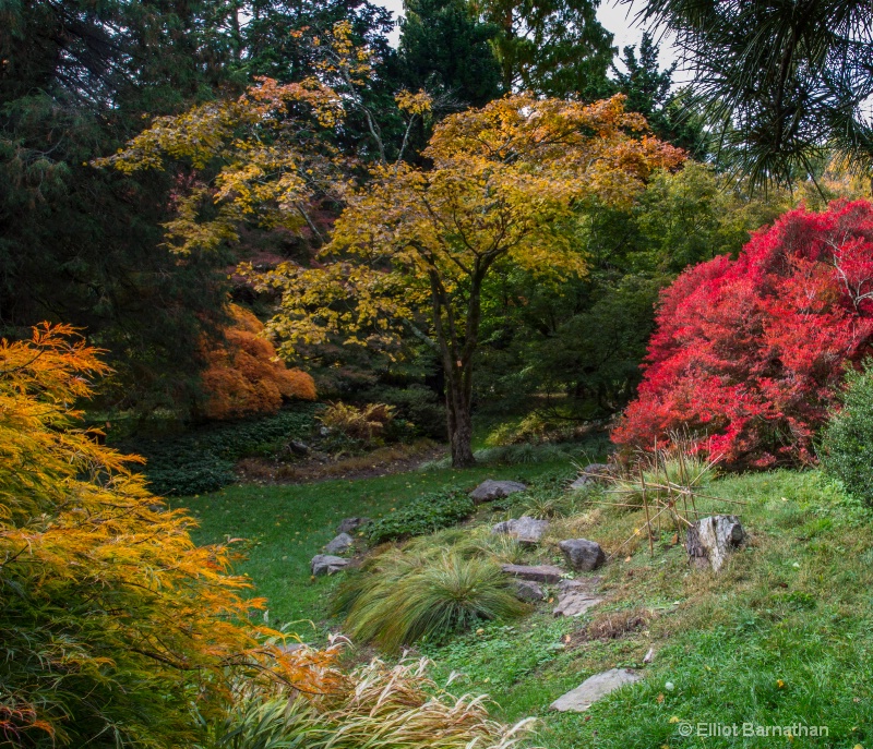 Morris Arboretum 12