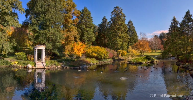 Morris Arboretum 1