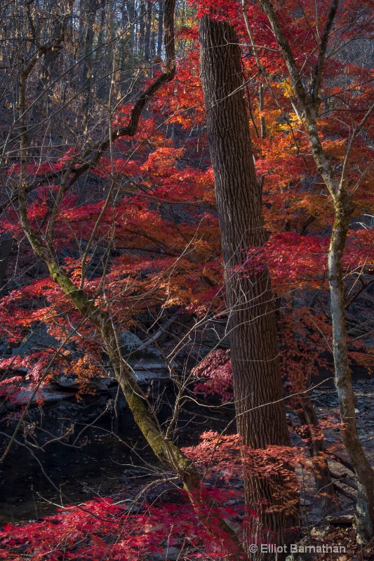 Fall on the Wissahickon 5