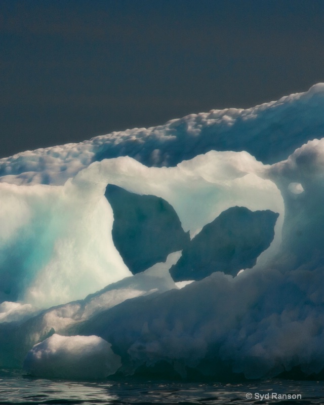 ice butterfly