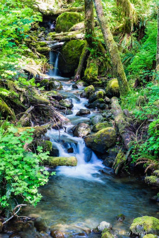 Olympic Peninsula, Washington