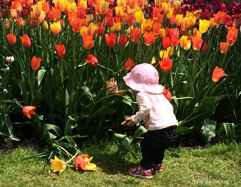 Stopping to Smell the Flowers