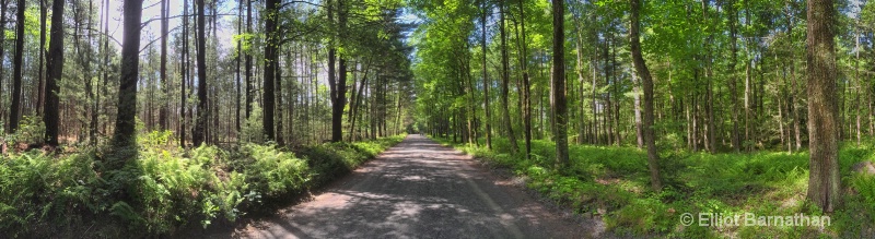 Walker Lake Walk