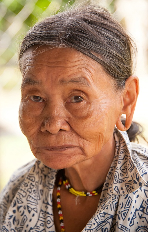 Penan Elder - Mulu National Park