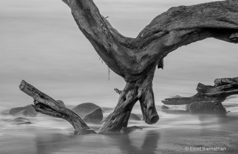 Driftwood 2