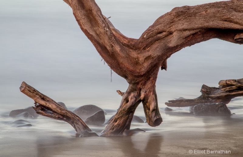 Driftwood